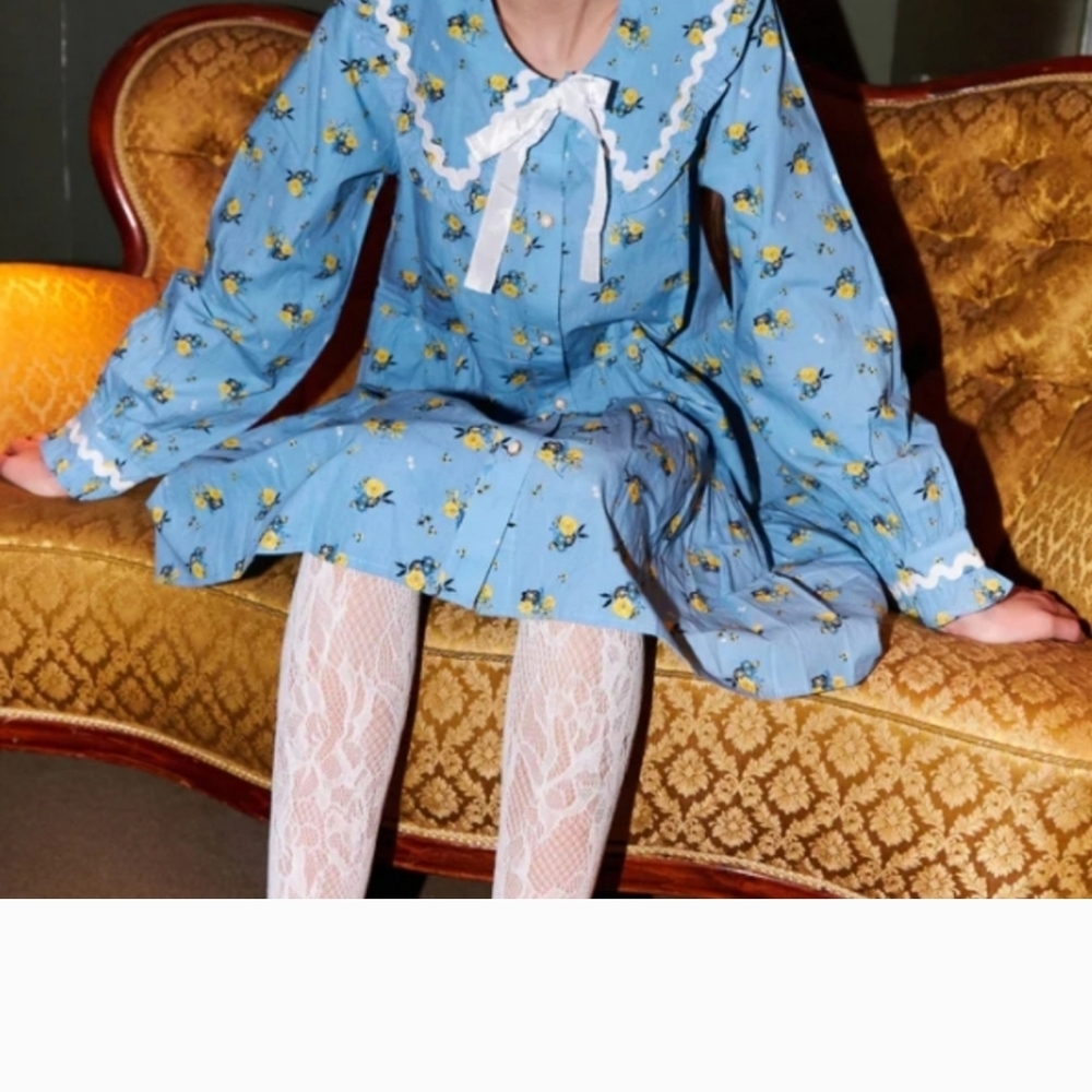 Cras Blue Floral Dress with Large Collar